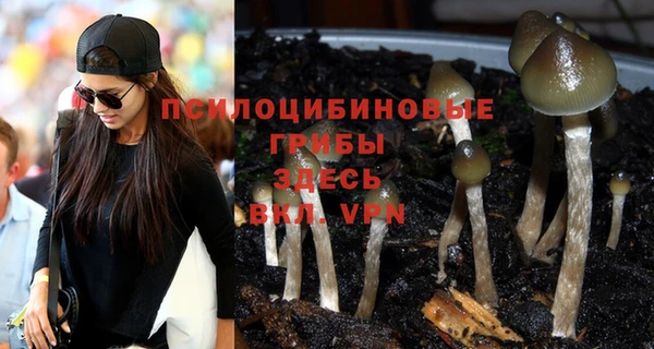марихуана Богородицк
