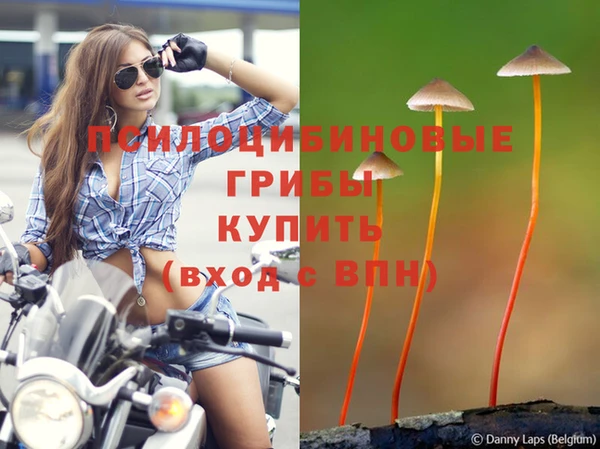 меф VHQ Богданович