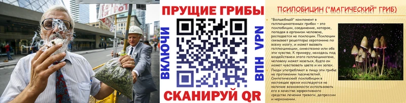 Галлюциногенные грибы MAGIC MUSHROOMS  Купить где  Аргун 